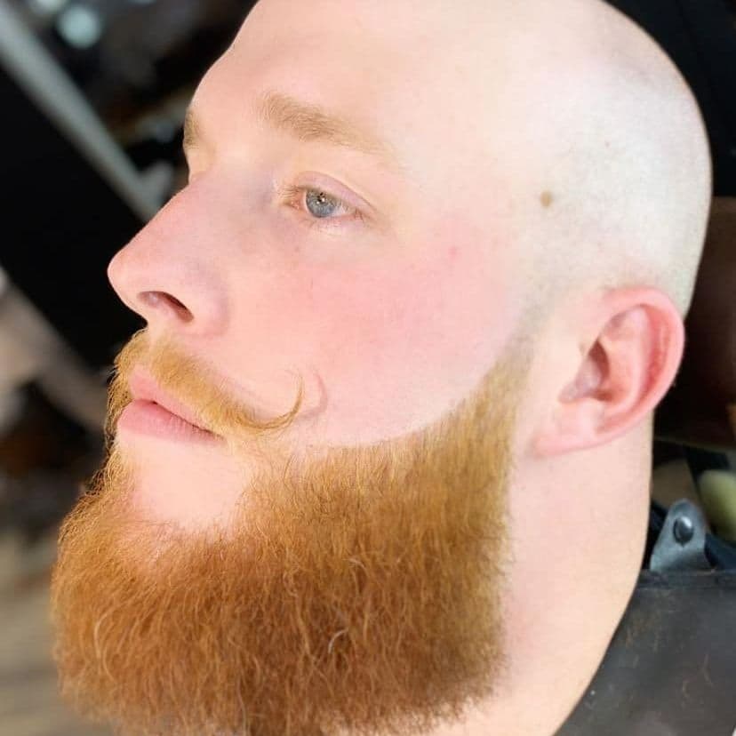 Bald head with shaped red beard